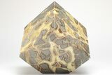 Wide, Polished Septarian Cube - Utah #207778-2